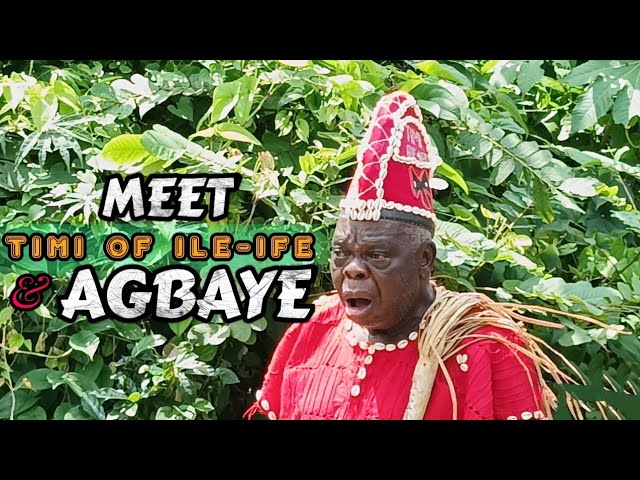 Baba Awoyele Darierin's Profile and Consultation Booking