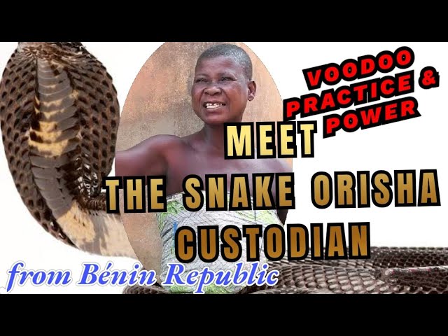Snake Orisha custodians 's Profile and Consultation Booking